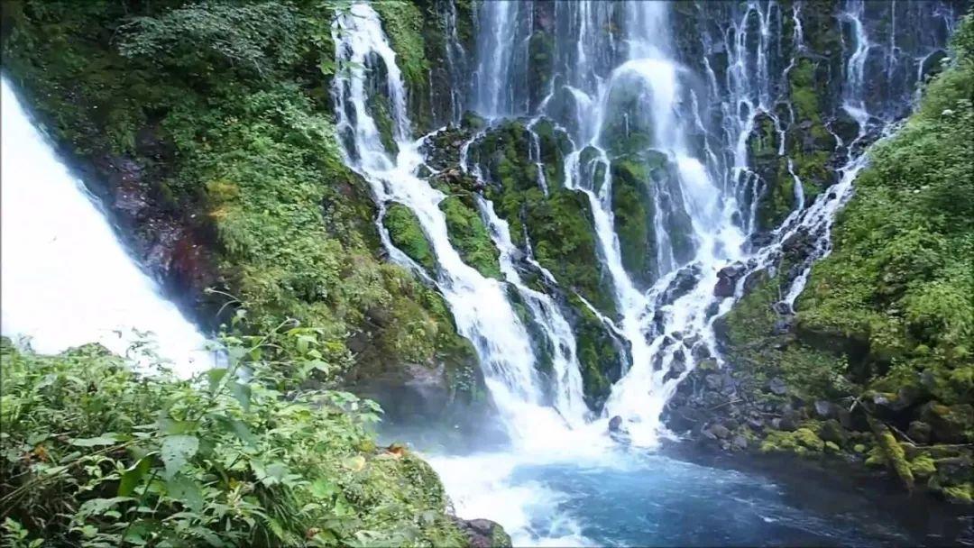 救援紫色生物
